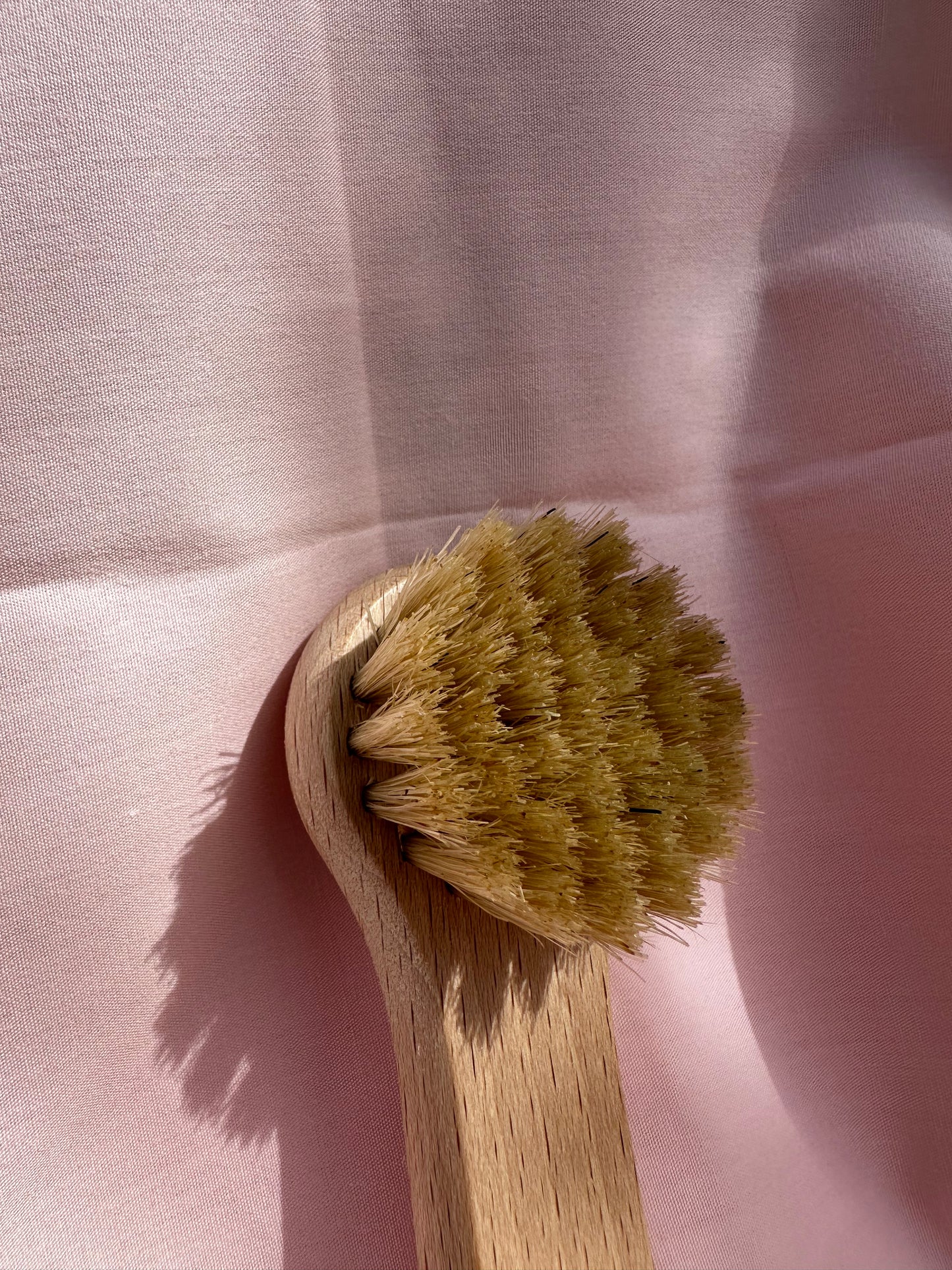 ANDRÉE JARDIN - Brosse visage exfoliante en kit