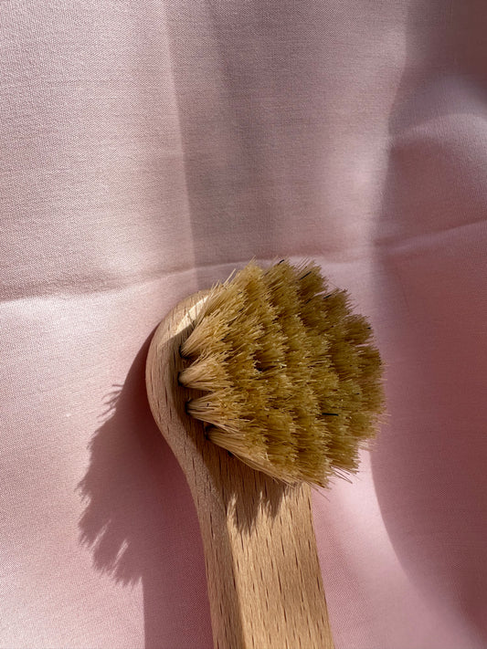 ANDRÉE JARDIN - Brosse visage exfoliante en kit